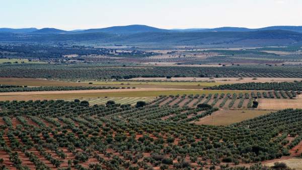 Campo, Tierras raras Campo, Tierras raras