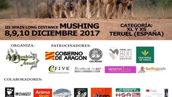 Teruel celebra este fin de semana la III Spain Long Distance Mushing Teruel celebra este fin de semana la III Spain Long Distance Mushing