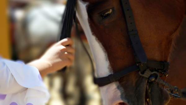 Feria del Caballo Feria del Caballo