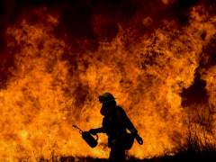 Los fuegos en California arrasan 81.000 hectáreas