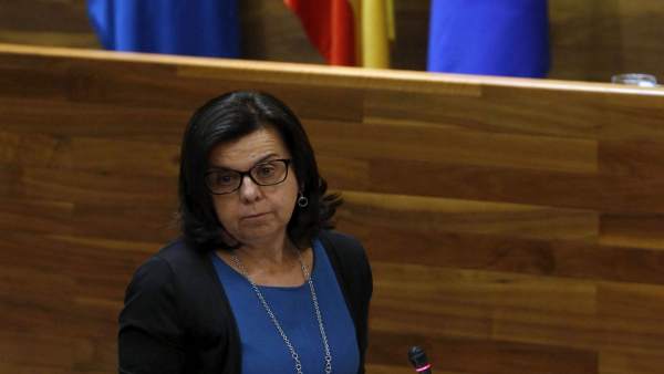 La consejera de DEsarrollo Rural, María Jesús Alvarez La consejera de DEsarrollo Rural, María Jesús Alvarez