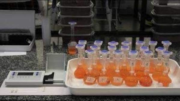 Laboratorio del CIFA Laboratorio del CIFA