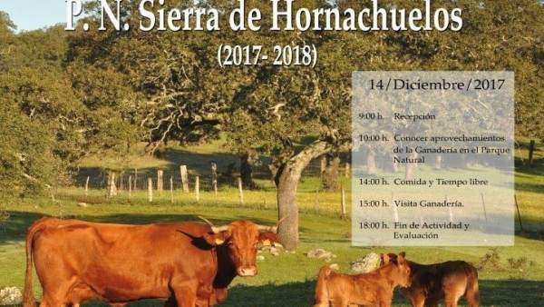 Cartel de la jornada Cartel de la jornada