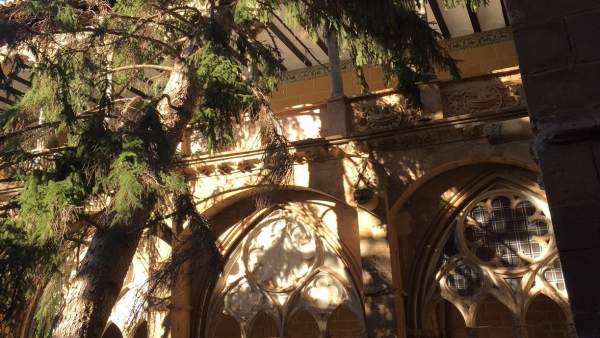 El árbol se ha caído sobre uno de los laterales del claustro de Veruela El árbol se ha caído sobre uno de los laterales del claustro de Veruela