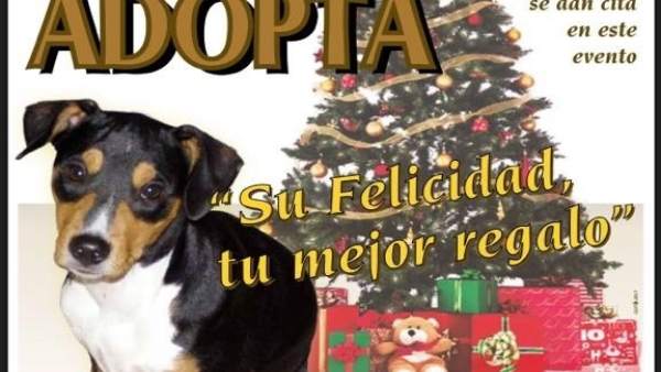 Cartel del I Encuentro de Adopción Solidaria de Mascotas Cartel del I Encuentro de Adopción Solidaria de Mascotas