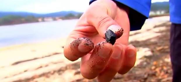 Los mariscadores gallegos alertan sobre la gran cantidad de cenizas en los ríos