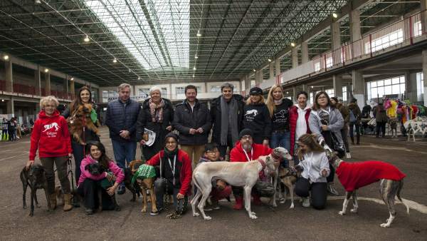 Feria Adopción Torrelavega Feria Adopción Torrelavega