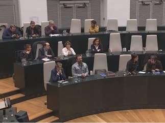Pleno sin concejales de IU y Ganemos