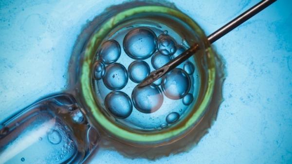 Fecundación in vitro, tratamiento fertilidad Fecundación in vitro, tratamiento fertilidad