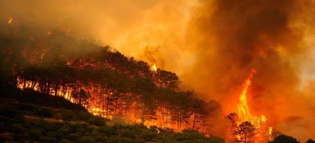 Incendio forestal en Collado Mediano (Madrid) el 1 de julio de 2009