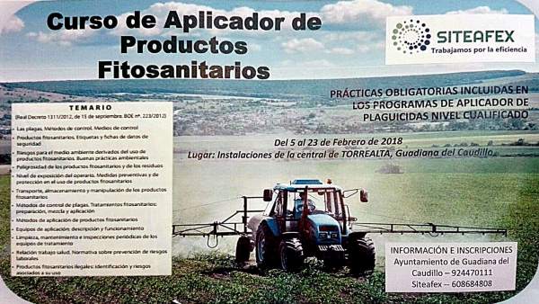 Cartel Cartel