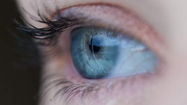 Ojo, retina Ojo, retina