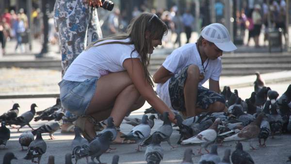 Palomas plaza Catalunya Palomas plaza Catalunya