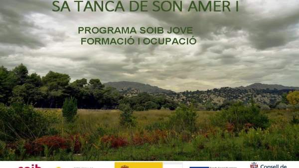 Programa del SOIB en Sa Tanca de Son Amer Programa del SOIB en Sa Tanca de Son Amer