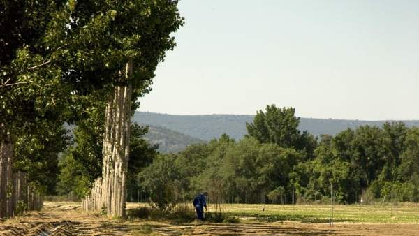 Nota Campaña Arbolado Finca La Haza Nota Campaña Arbolado Finca La Haza