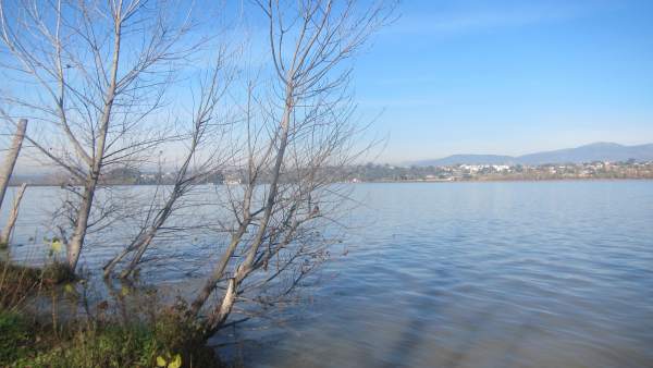 Pantano, Cazalegas, Juncos, Agua, Cielo Pantano, Cazalegas, Juncos, Agua, Cielo