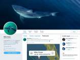 'Miss Costa', un gran tiburón blanco de 726 kilos que tiene cuenta de Twitter, visita Florida