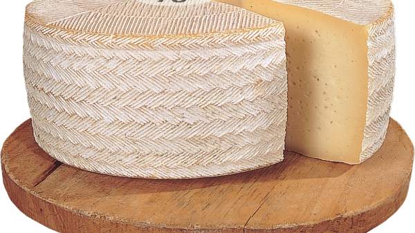 Queso manchego Queso manchego