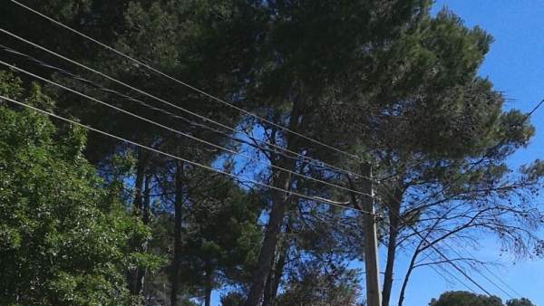 Línea eléctrica de Endesa Línea eléctrica de Endesa
