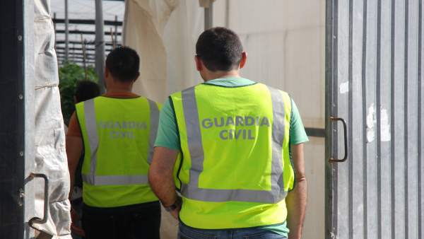 La Guardia Civil inspecciona el invernadero forzado La Guardia Civil inspecciona el invernadero forzado