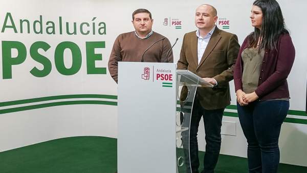 Martínez (PSOE), en rueda de prensa Martínez (PSOE), en rueda de prensa