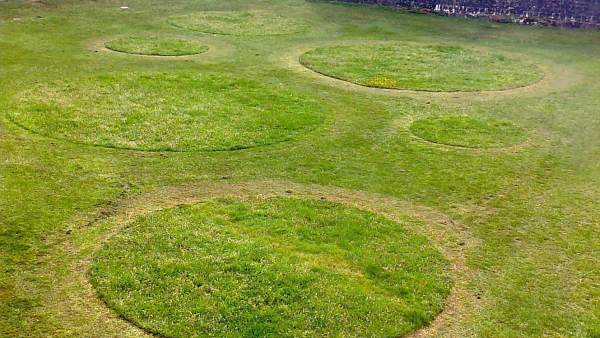 Jardín efímero realizado en la Ciudadela de Pamplona Jardín efímero realizado en la Ciudadela de Pamplona