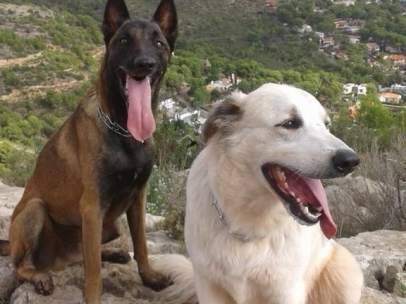 Nilo y Ossa