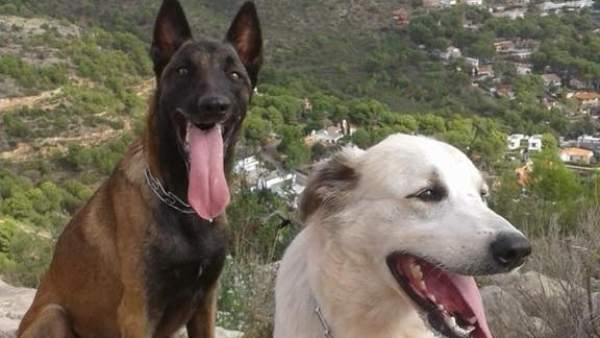 Nilo y Ossa Nilo y Ossa