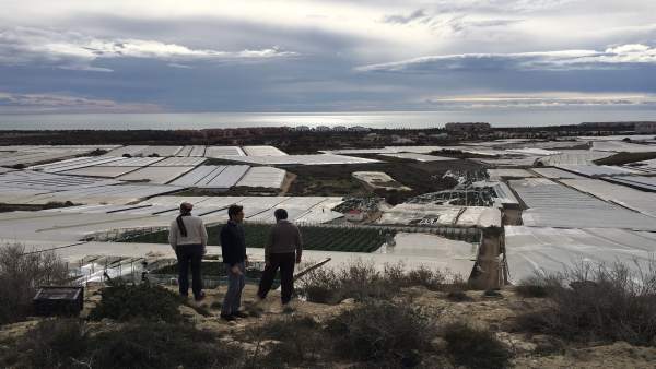 Panorámica de una de las zonas dañadas por el tornado de El Ejido Panorámica de una de las zonas dañadas por el tornado de El Ejido
