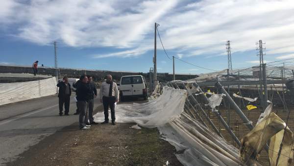 Uno de los invernaderos destrozado por el tornado Uno de los invernaderos destrozado por el tornado