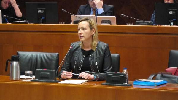 La consejera Gastón informa del presupuesto de 2018 La consejera Gastón informa del presupuesto de 2018