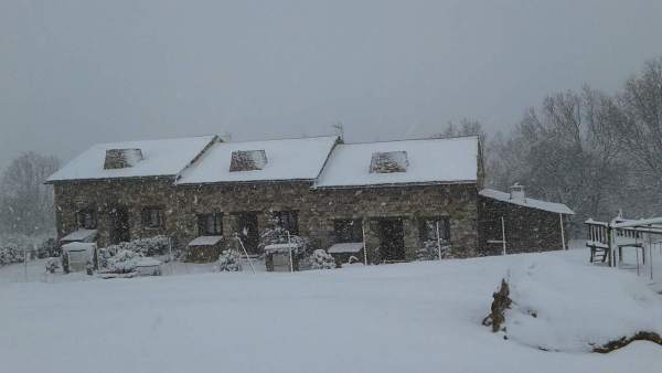 Nieve Nieve