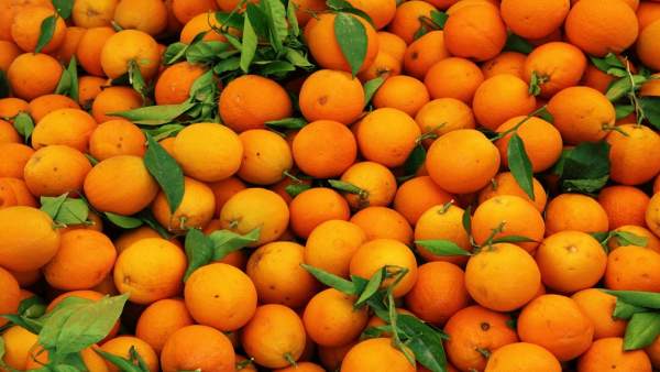 NARANJAS NARANJAS