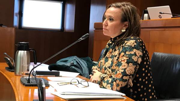 La consejera de Educación, Mayte Pérez La consejera de Educación, Mayte Pérez