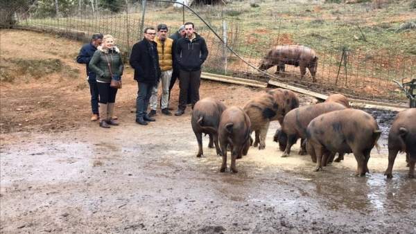 Visita a la finca La Dehesa. Visita a la finca La Dehesa.
