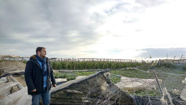 Juan Antonio López en uno de los invernaderos afectados por el tornado Juan Antonio López en uno de los invernaderos afectados por el tornado