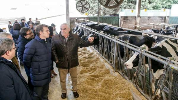 Feijóo visita la Cooperativa Agraria Provincial de A Coruña Feijóo visita la Cooperativa Agraria Provincial de A Coruña