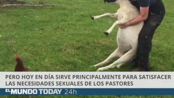 Vídeo de 'El Mundo Today' Vídeo de 'El Mundo Today'