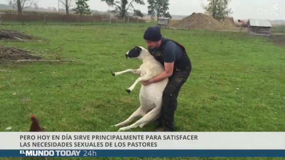 Una jueza amenaza a 'El Mundo Today' con medidas legales por un vídeo sobre ovejas