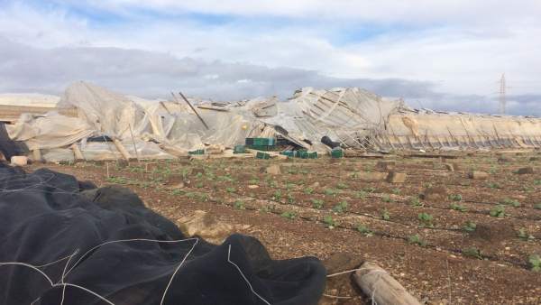 Daños causados por el temporal de viento en La Mojonera Daños causados por el temporal de viento en La Mojonera