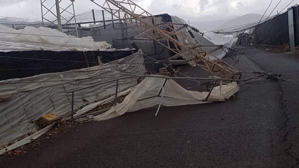 Daños causados por el temporal de viento en La Mojonera Daños causados por el temporal de viento en La Mojonera