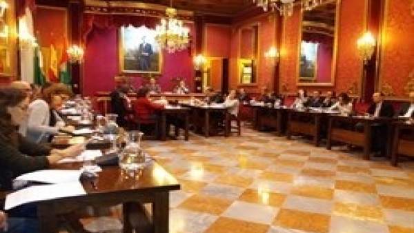 Pleno del Ayuntamiento de Granada Pleno del Ayuntamiento de Granada