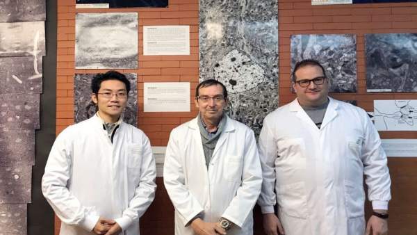 Los científicos García-Verdugo, Vicente Herranz-Pérez y Masato Sawada Los científicos García-Verdugo, Vicente Herranz-Pérez y Masato Sawada