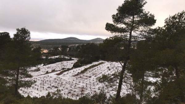 Nieve en Estenas Nieve en Estenas