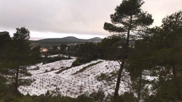La neu es deixa veure a Utiel (València) mentre les ratxes de vent freguen els 100 km/h en l'interior de Castelló La neu es deixa veure a Utiel (València) mentre les ratxes de vent freguen els 100 km/h en l'interior de Castelló