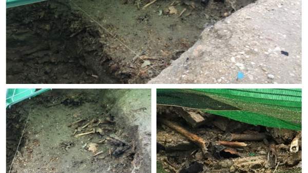 Fosas del cementerio de Lucena que se exhuman Fosas del cementerio de Lucena que se exhuman