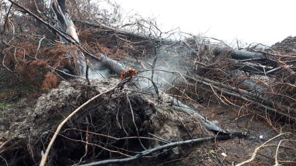 Turbera ardiendo en la Lagoa da Antela Turbera ardiendo en la Lagoa da Antela