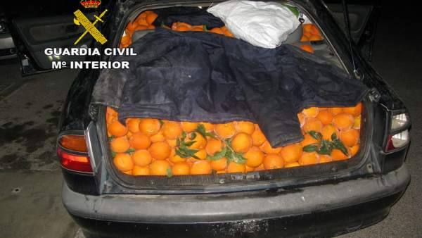 Coche cargado de naranjas sustraídas Coche cargado de naranjas sustraídas