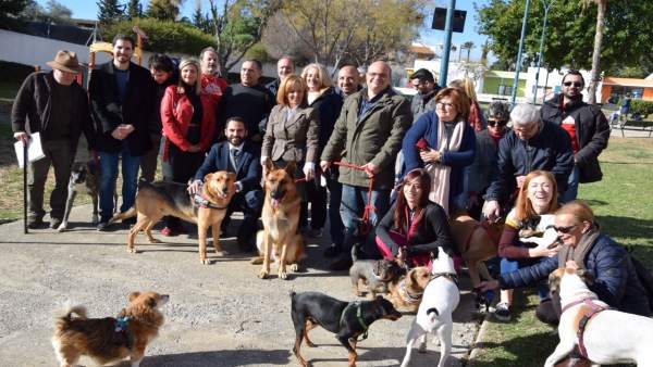 PSOE Málaga. Daniel Pérez. Perros PSOE Málaga. Daniel Pérez. Perros