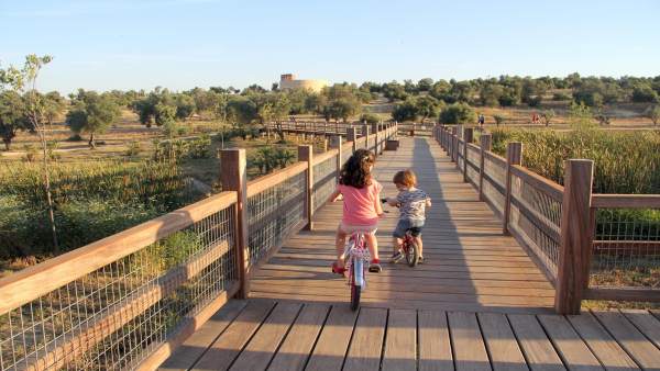 Ayuntamiento De Tomares: Nota De Prensa Y Foto (El Parque Olivar Del Zaudín De T Ayuntamiento De Tomares: Nota De Prensa Y Foto (El Parque Olivar Del Zaudín De T